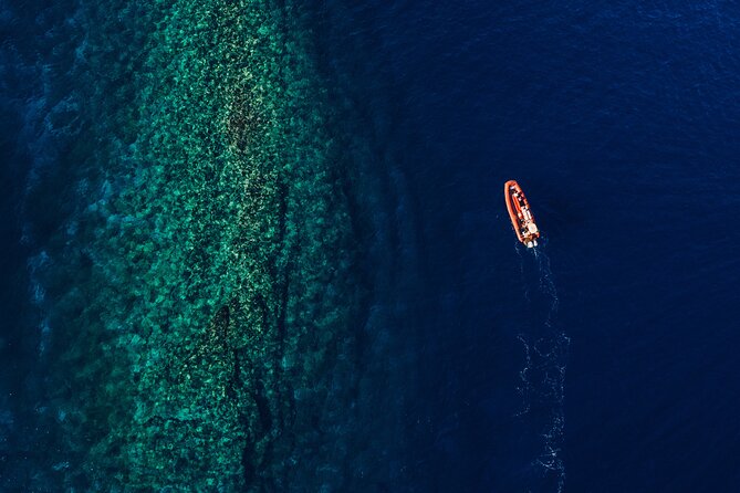 Maui South Coast and Molokini Crater Adventure from Kihei - In the water safely: ladders, swim comfort, and seasickness warnings