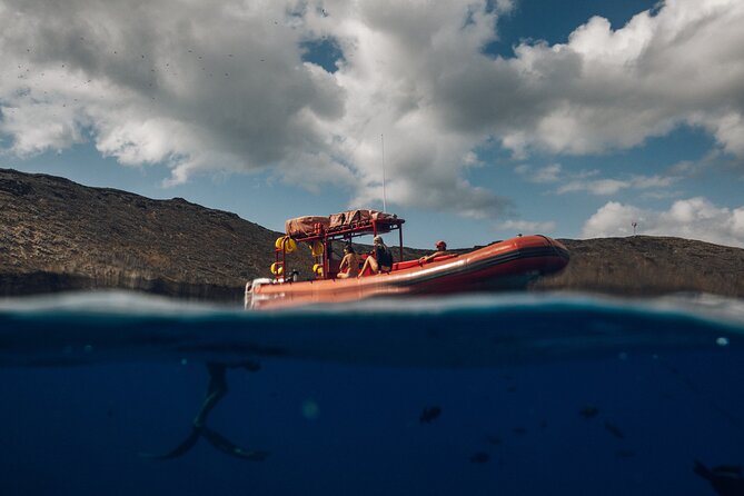 Maui South Coast and Molokini Crater Adventure from Kihei - Molokini Crater snorkeling: front wall views and big-animal spotting