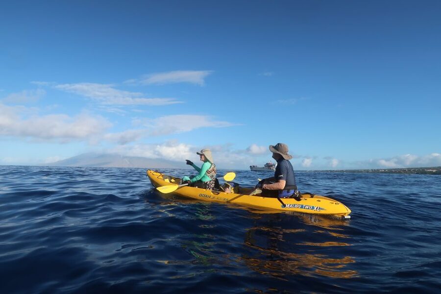 Maui: Turtle Town Kayak and Snorkel Tour - Snorkeling around Makena Bay: spotting turtles and the fish buffet