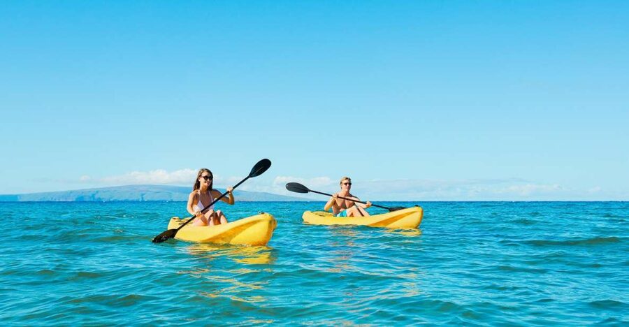Maui: Turtle Town Kayak and Snorkel Tour - Whale season bonus: what changes from late December to mid-April