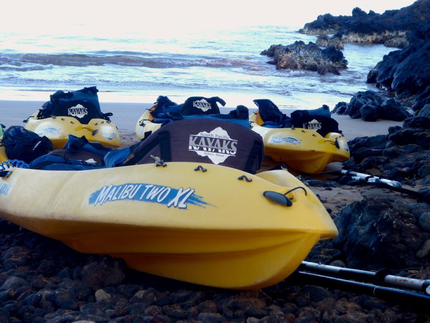 Maui: Turtle Town Kayak and Snorkel Tour - Value check: is $120 for a 3-hour guided water tour worth it?