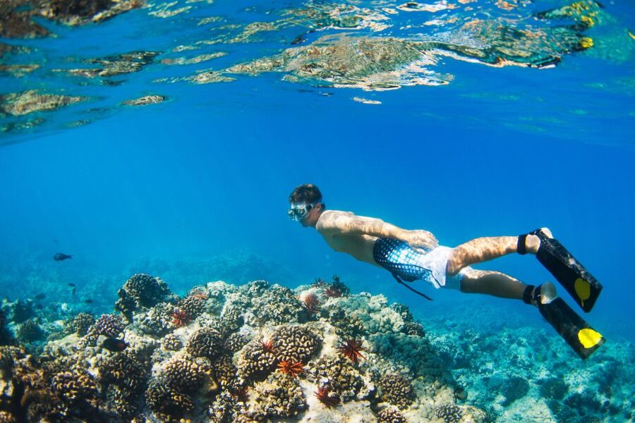 Maui: Turtle Town Kayak and Snorkel Tour - The kayaking part: your guided Turtle Town paddle on Makena Bay