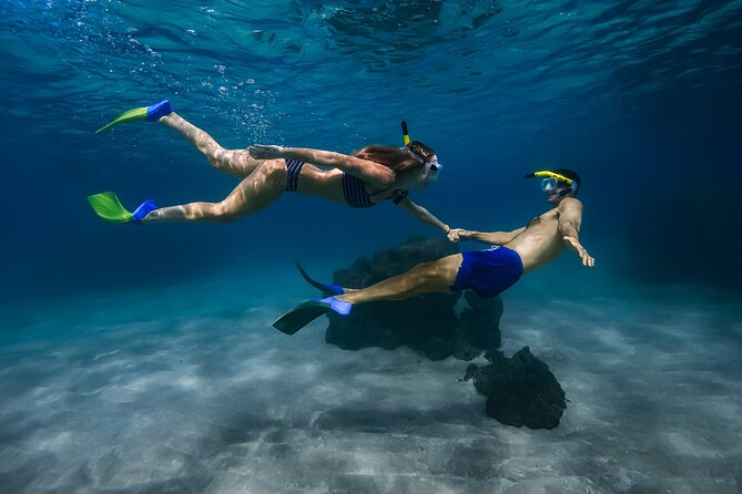 Maui: Turtle Town Snorkel with Photo and Video - Key Points Before You Go
