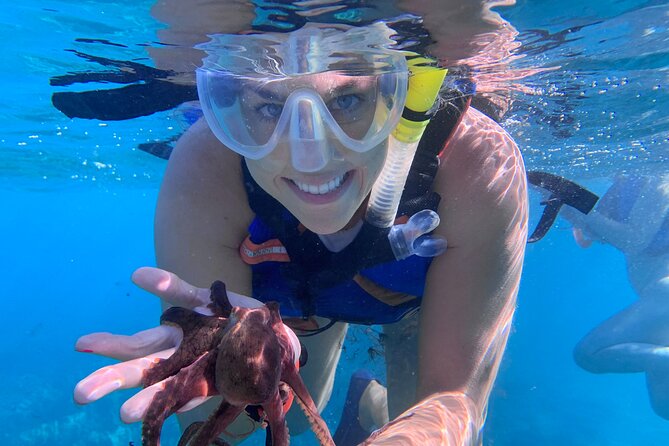 Maui: Turtle Town Snorkel with Photo and Video - Safety and Comfort Notes You Should Plan For