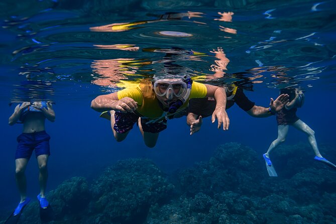 Maui: Turtle Town Snorkel with Photo and Video - Small Group Logistics: Where This Excels Compared to Big Boat Tours