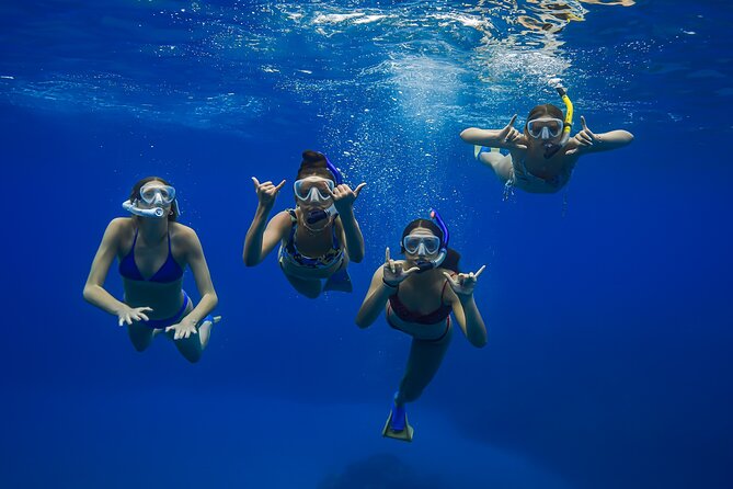 Maui: Turtle Town Snorkel with Photo and Video - Price and What You Are Really Paying For