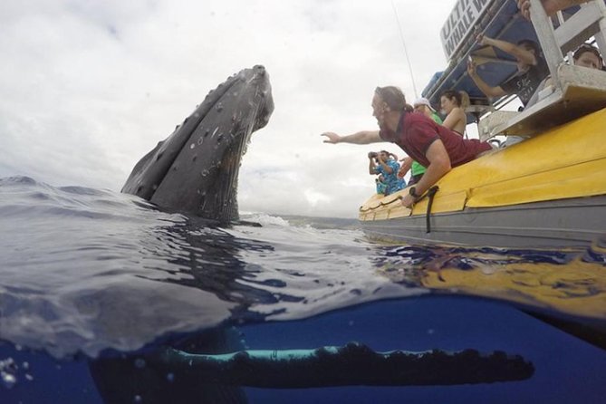 Maui: Ultimate Whale Watch from Lahaina - Listening to whale songs through the onboard hydrophone