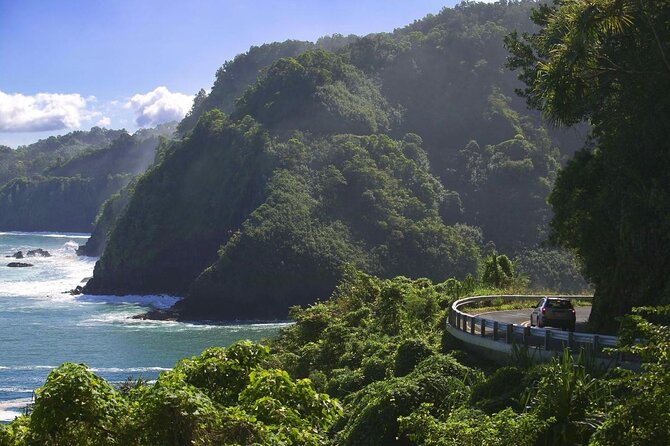 Maui: VIP Private Road to Hana Tour with Pick Up - Key things to know before you go