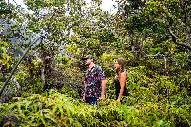 Maui: VIP Private Road to Hana Tour with Pick Up - Keanae Arboretum: taro terraces and plant labels you can actually use