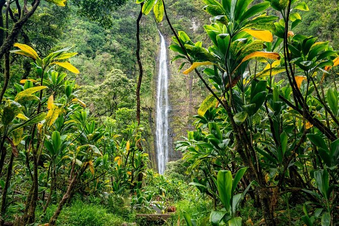 Maui: VIP Private Road to Hana Tour with Pick Up - Upper Waikani Falls: quick stop, strong impact