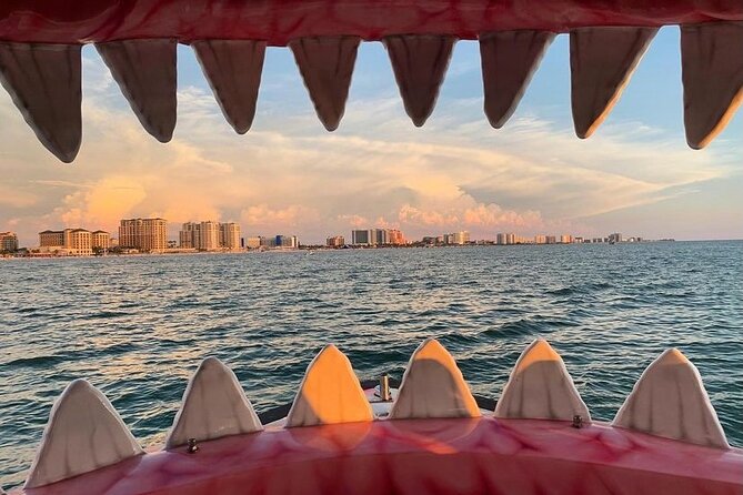 Mega Bite Dolphin Tour Boat in Clearwater Beach - The shark boat itself: what you’ll be riding for an hour