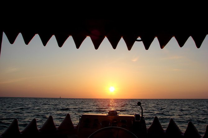 Mega Bite Dolphin Tour Boat in Clearwater Beach - Price and value: is $28 worth it?