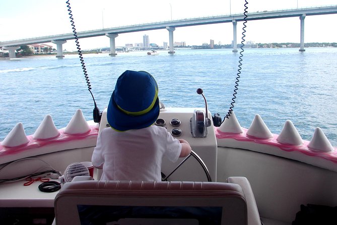 Mega Bite Dolphin Tour Boat in Clearwater Beach - Picking the right time: sunset rides vs colder wind