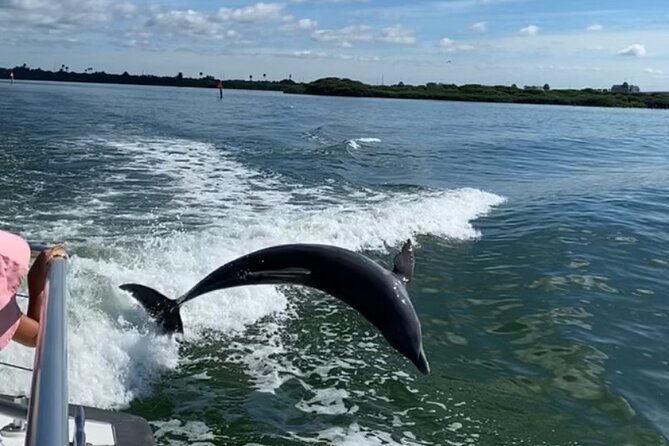 Mega Bite Dolphin Tour Boat in Clearwater Beach - Who this tour is best for, and who should think twice