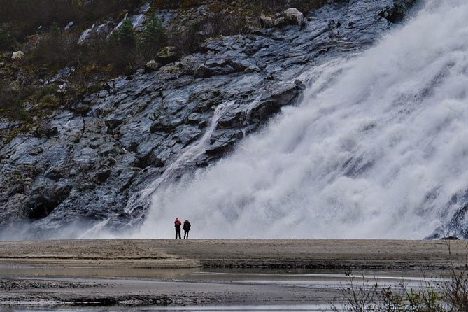 Mendenhall Glacier Trolley Tour - Who This Tour Fits Best (and Who Might Prefer Another Option)
