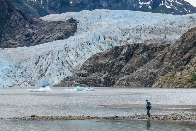 Mendenhall Glacier Visitor Center and Ultimate Whale Watch Combo - What your $199 gets you, and why it can be good value
