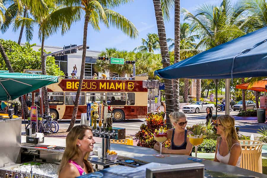 Miami: Everglades Experience, Bay Cruise & Open-Top Bus Tour - Key Highlights You Should Know