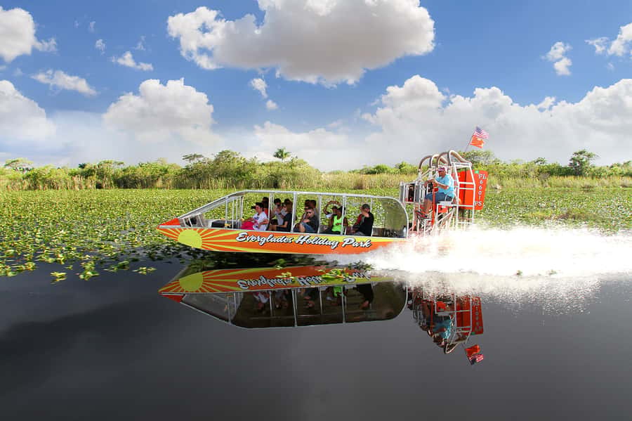 Miami: Everglades Experience, Bay Cruise & Open-Top Bus Tour - Price and Value: Why This Combo Feels Worth It at $80