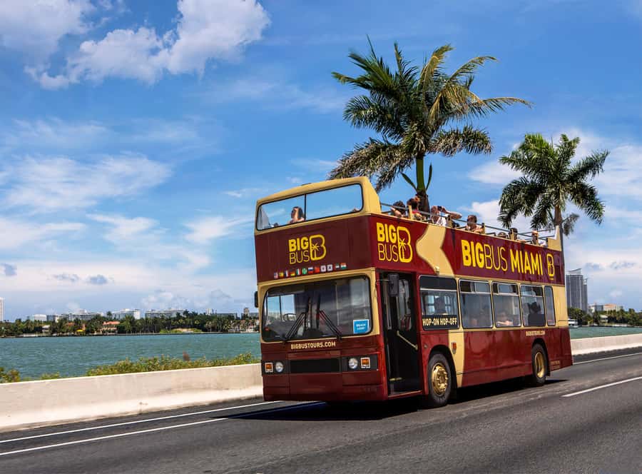 Miami: Everglades Experience, Bay Cruise & Open-Top Bus Tour - Small Tips That Make a Big Difference