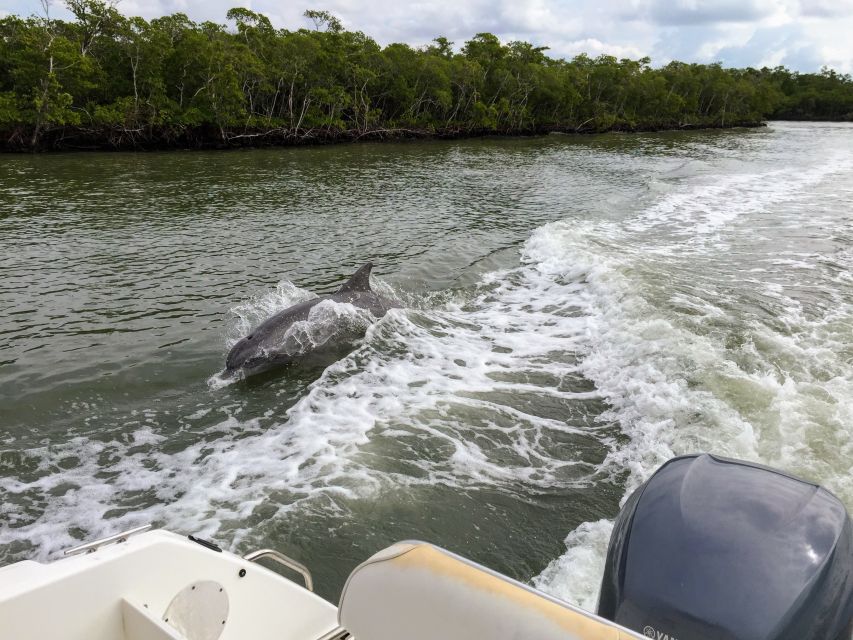 Miami: Everglades Full-Day Tour with 2 Boat Trips and Lunch - Tree island village stop: culture you can understand in one hour