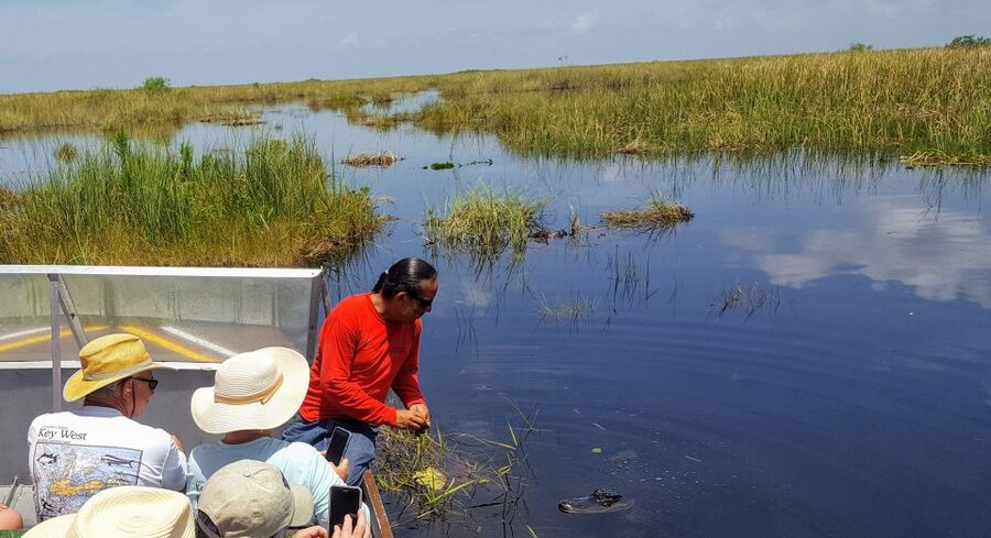 Miami: Everglades Full-Day Tour with 2 Boat Trips and Lunch - Big Cypress National Preserve: cypress dome walk and rare plants