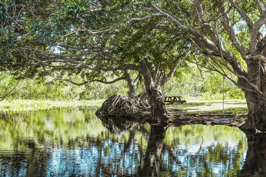Miami: Everglades National Park Airboat Tour & Wildlife Show - Should You Book This Miami Everglades Airboat and Wildlife Show?