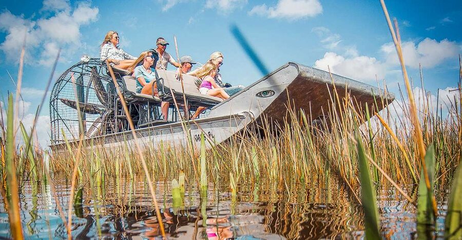 Miami: Everglades National Park Airboat Tour & Wildlife Show - River of Grass Reality Check: The Everglades You Ride Through