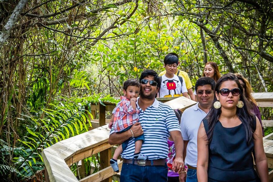Miami: Everglades Safari Park Airboat Tour - Everglades Safari Park Airboat Tour: what you really get in about two hours