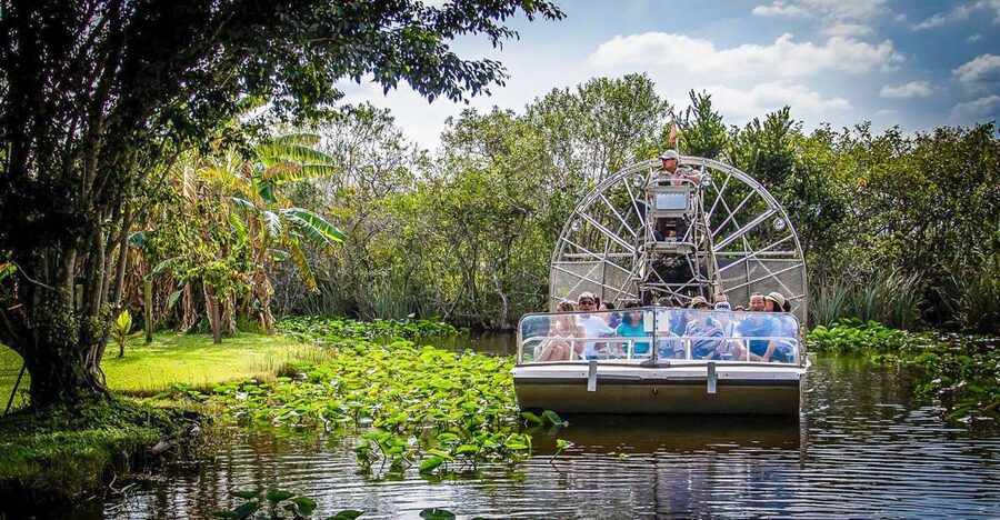 Miami: Everglades Safari Park Airboat Tour - Tips that improve sightings and comfort on the airboat day