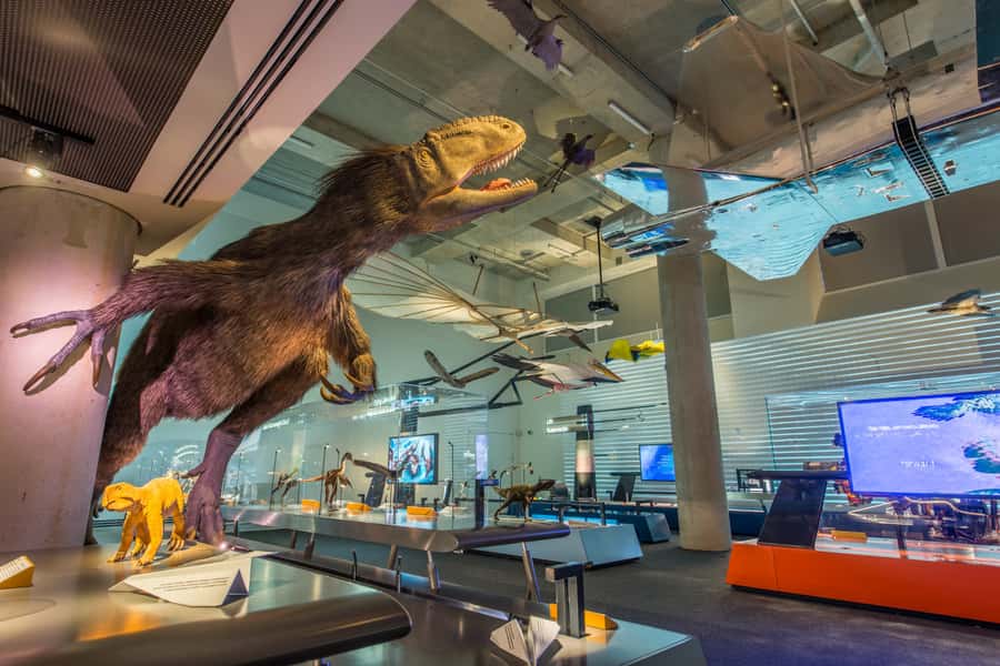 Miami: Frost Museum of Science and Planetarium Entry Ticket - Aquarium highlights: stingray touch and hammerhead drama