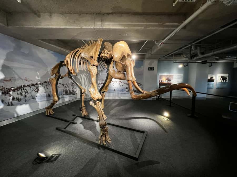 Miami: Frost Museum of Science and Planetarium Entry Ticket - Hands-on science exhibits: bugs, gadgets, and why kids love the levels