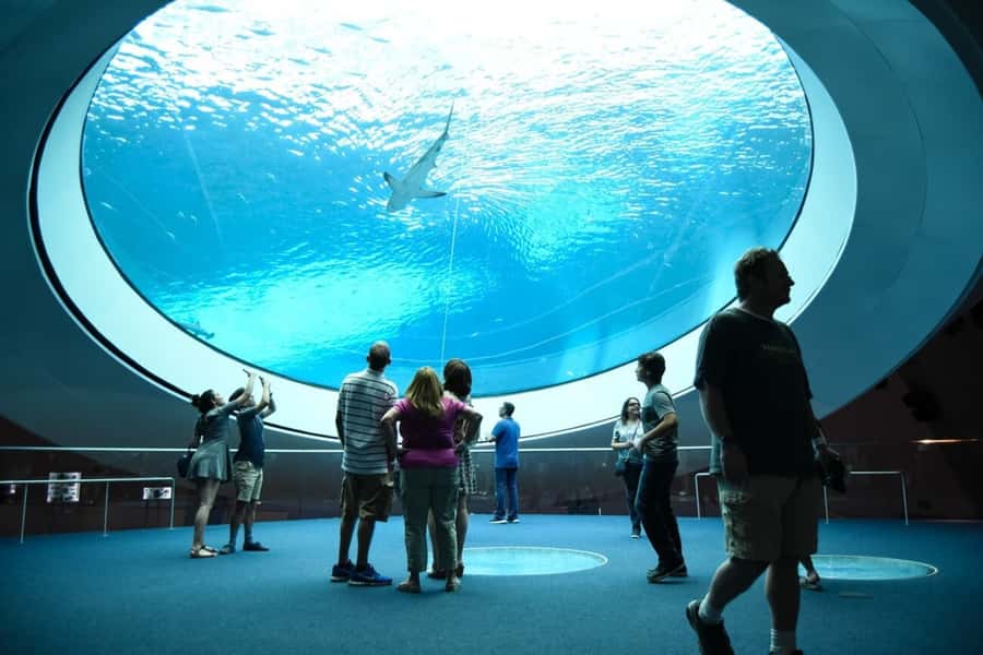 Miami: Frost Museum of Science and Planetarium Entry Ticket - Price and value: is $30 a smart spend?