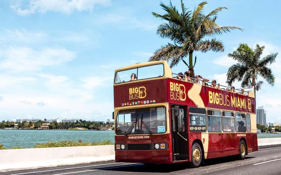 Miami: Hop-on Hop-off Open-top Bus Tour and Optional Cruise - Riding the open-top double-decker: heat strategy, audio, and where to sit