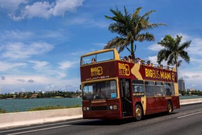 Hop-on Hop-off Tour + Cruise & Free 1-Hour Bike Rental