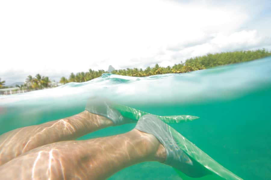 Miami: Key West Dolphin Watch or Snorkel Boat with pickup - The Snorkel Option: 3 Hours of Reef Time and Clear-Water Fun