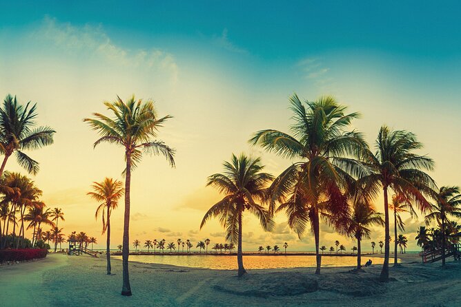 Miami: Open-top Bus Sightseeing Night Tour with Live Guide - The night route that actually helps you get oriented fast