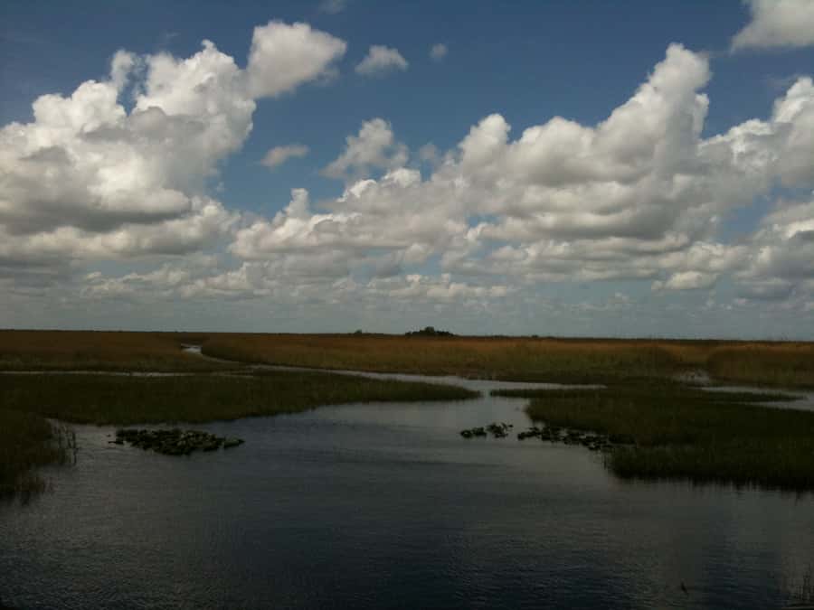 Miami: Original Everglades Airboat Tour & Interpretive area - Coopertown welcome: Jojo, exhibits, and the interpretive area