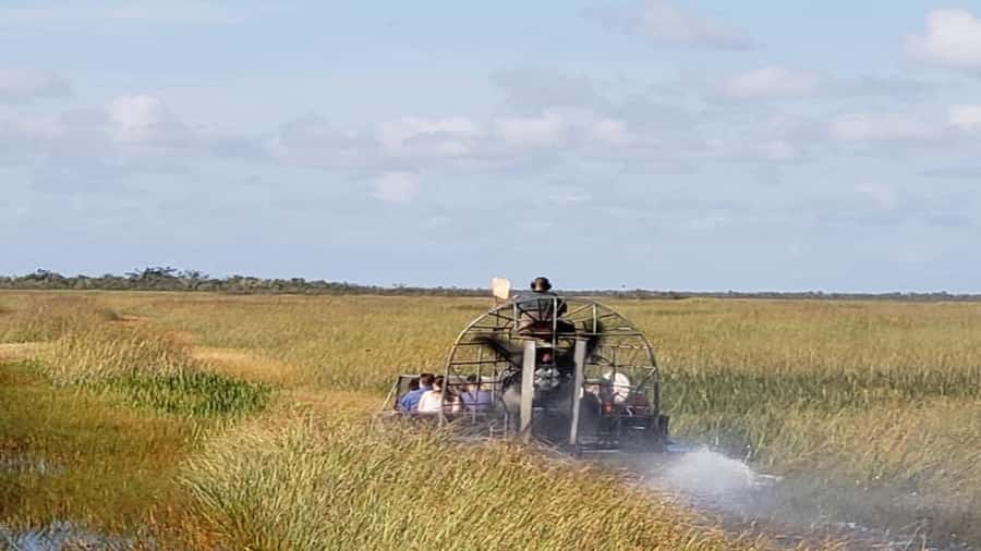 Miami: Original Everglades Airboat Tour & Interpretive area - Wildlife spotting reality check: alligators, turtles, birds, and conditions