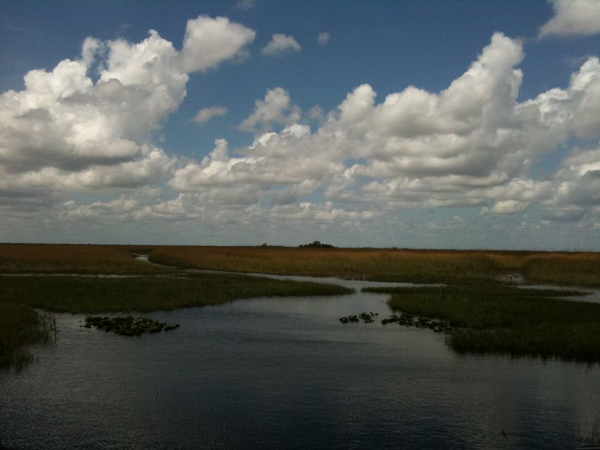 Miami: Original Everglades Airboat Tour & Interpretive area - Should you book the Original Everglades Airboat Tour at Coopertown?