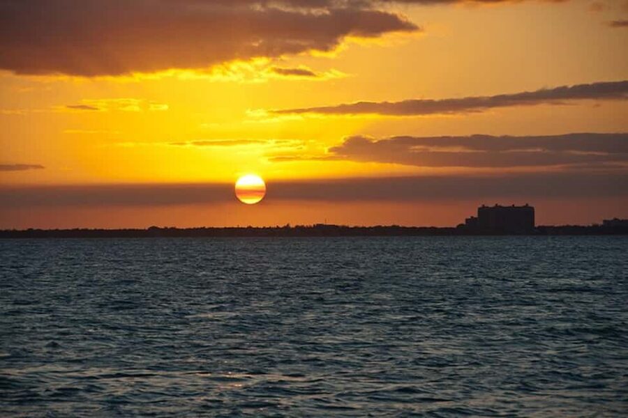 Miami Skyline Sightseeing Cruise and Millionaire Mansions - Key things I’d zero in on
