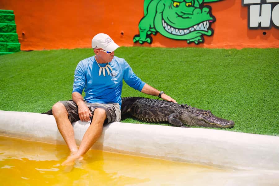 Miami: Wild Everglades Airboat Ride and Gator Encounters - Airboat Meets Miami Pickups: How the Day Flows