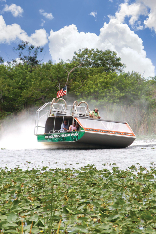 Miami: Wild Everglades Airboat Ride and Gator Encounters - The Airboat Ride Through Marsh and Swamp
