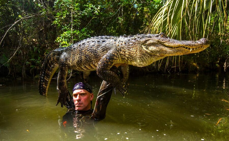 Miami: Wild Everglades Airboat Ride and Gator Encounters - Should You Book This Tour?