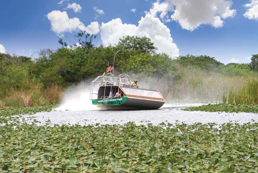 Miami: Wild Everglades Airboat Ride and Gator Encounters - The Coach Ride from South Beach to the Everglades