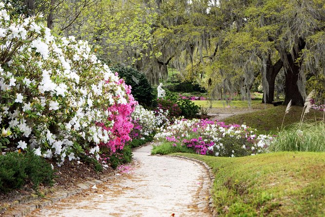 Middleton Place Admission with Self Guided Tour and Lunch - Self Guided Gardens and Chapel: Freedom With Boundaries