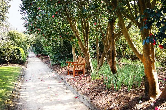 Middleton Place Admission with Self Guided Tour and Lunch - The 3 Course Lowcountry Lunch: Where the Value Gets Real