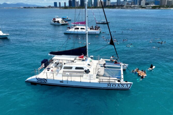 Moana’s Waikīkī Grand Guided Turtle Snorkel & Sailing Adventure - Where you start: Kewalo Basin Harbor and a smooth boarding rhythm