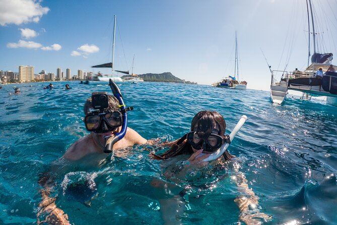 Moana’s Waikīkī Grand Guided Turtle Snorkel & Sailing Adventure - Timing choices: early morning turtle odds and later-schedule convenience