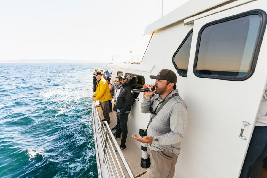 Monterey Bay: Whale Watching Tour - Cannery Row and the Sanctuary edge: what you should be watching for