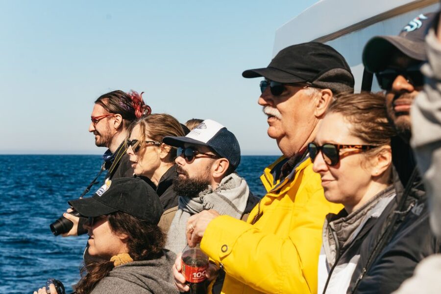 Monterey Bay: Whale Watching Tour - On the water in summer and fall: feeding whales and fast-changing sightings